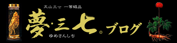 一等级品夢三七 (ゆめさんしち)5粒x60包+30粒